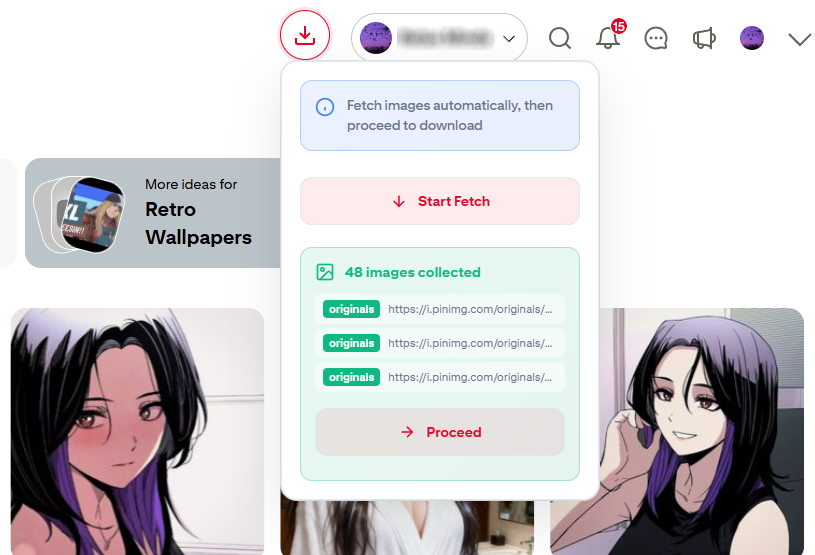 PinZip Extension Preview